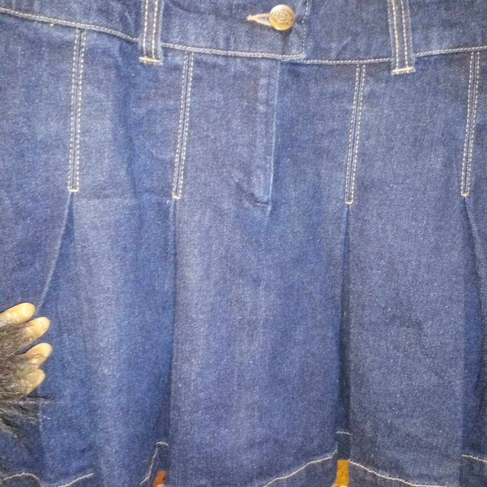 Dickies - Picture 7 of 7